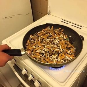 Meet your Posher, King